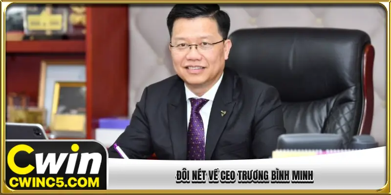 Đôi nét về CEO Trương Bình Minh