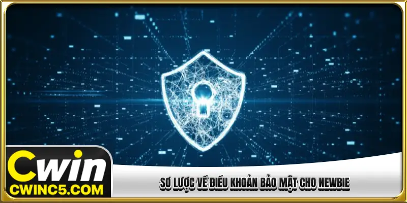 Sơ lược về điều khoản bảo mật cho Newbie
