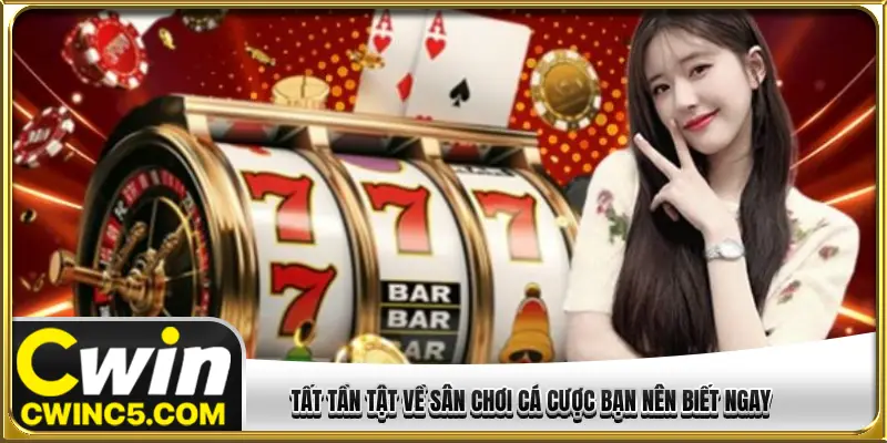 Tất tần tật về sân chơi cá cược bạn nên biết ngay