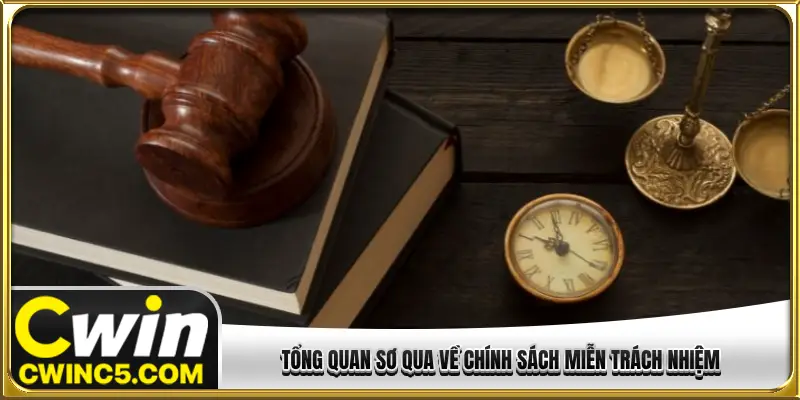 Tổng quan sơ qua về chính sách miễn trách nhiệm